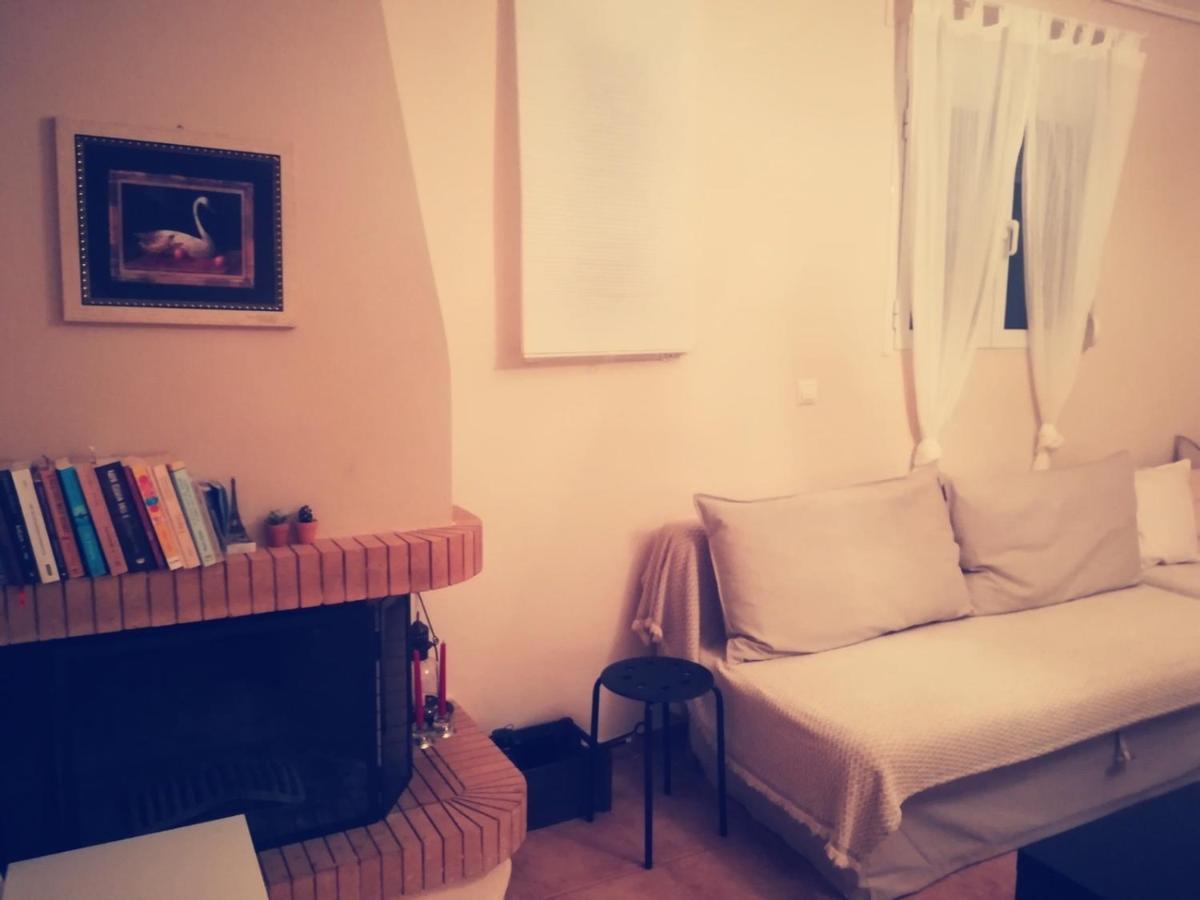הוילה ארטמידה Lux House Next To The Airport Of Athens. Transport 24H מראה חיצוני תמונה